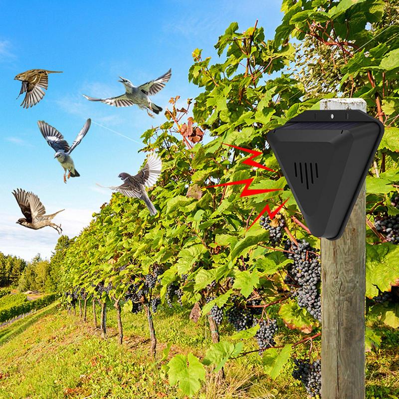 Wodoodporny słoneczny odstrasz – Fish Alarm recenzja i cena