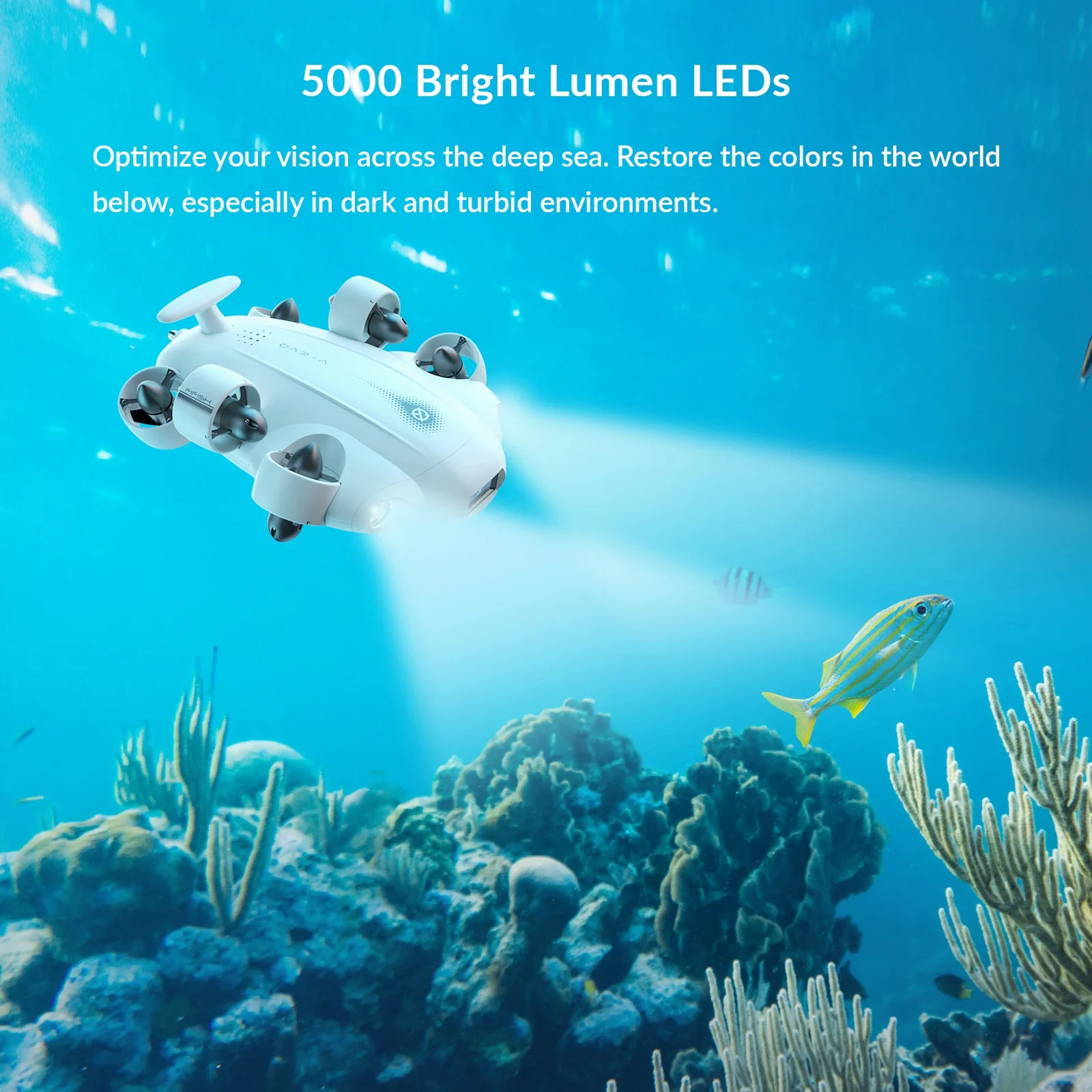 Kamera podwodna 2026 Premium F – Underwater Camera recenzja i cena